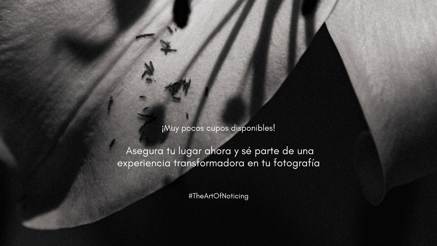 The Art of Noticing