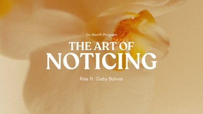 The Art of Noticing