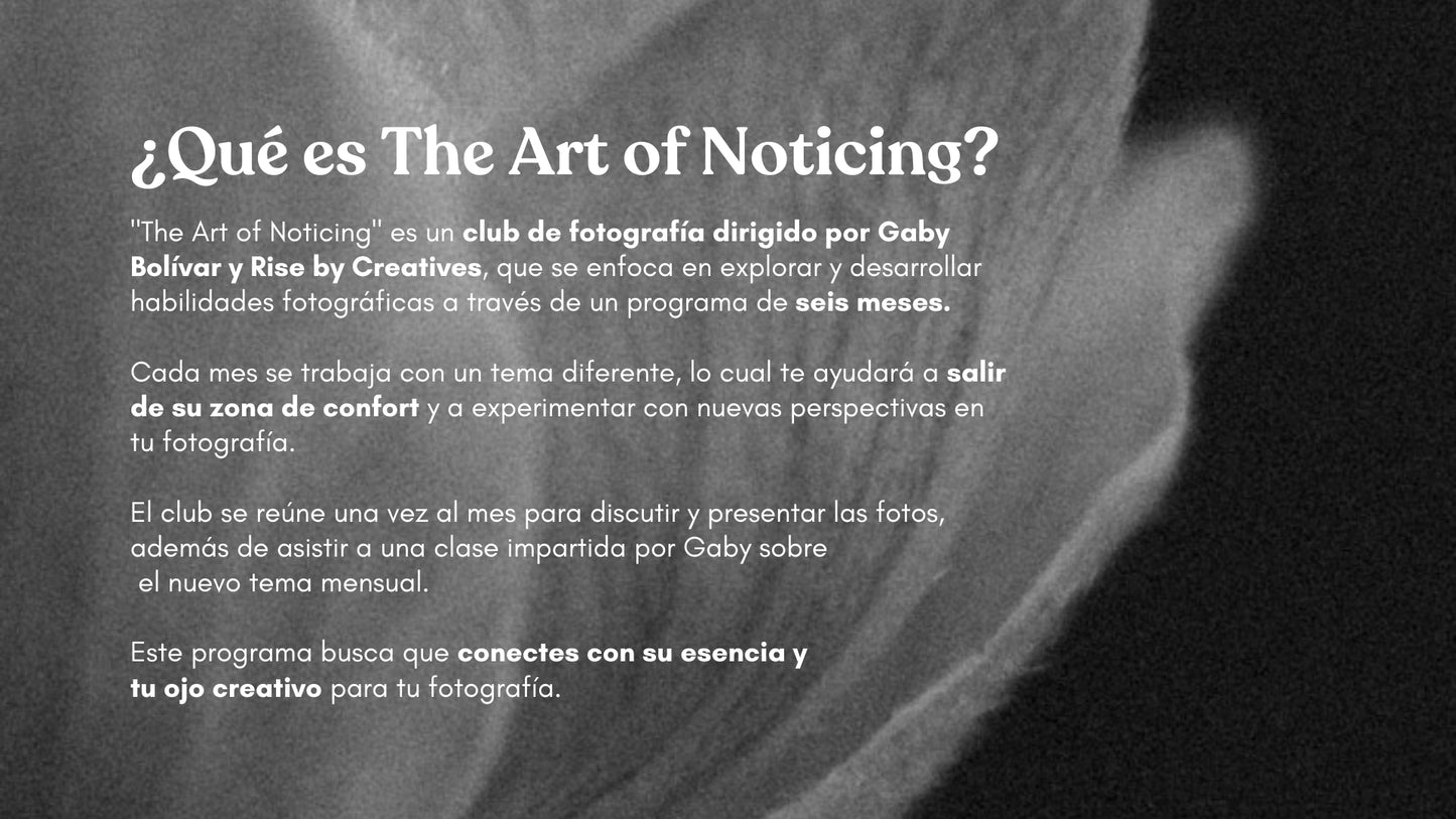 The Art of Noticing