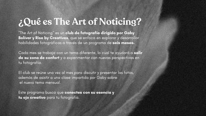 The Art of Noticing