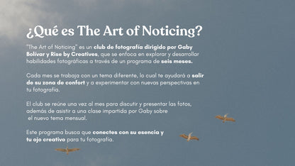 The Art of Noticing