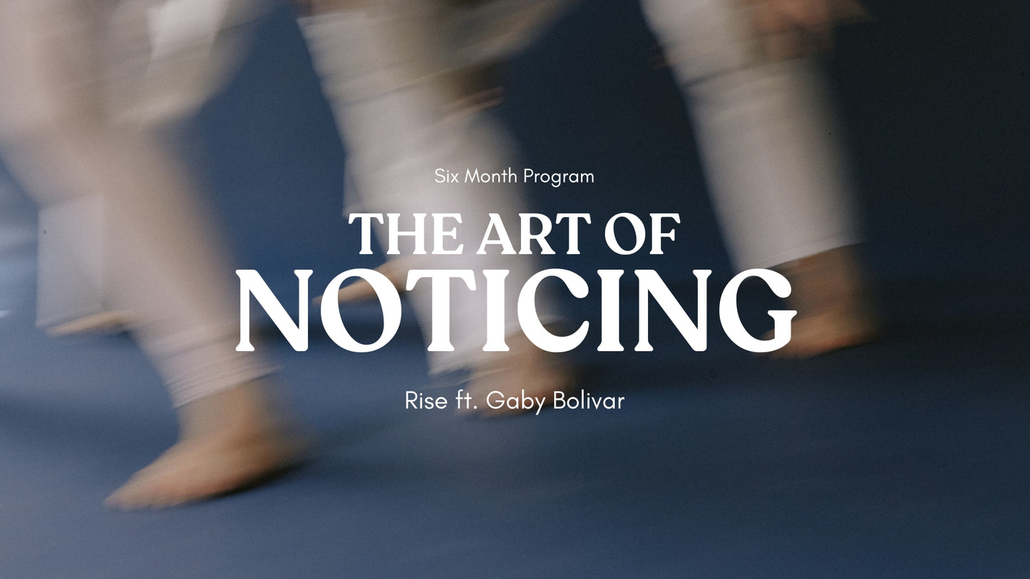 The Art of Noticing
