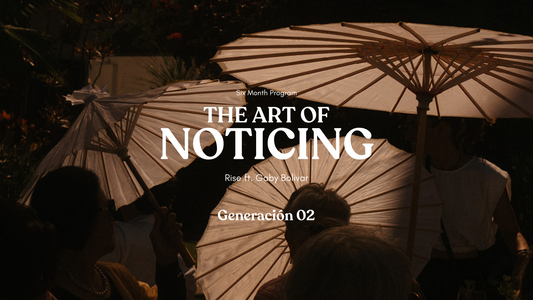 The Art of Noticing