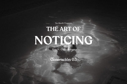 The Art of Noticing