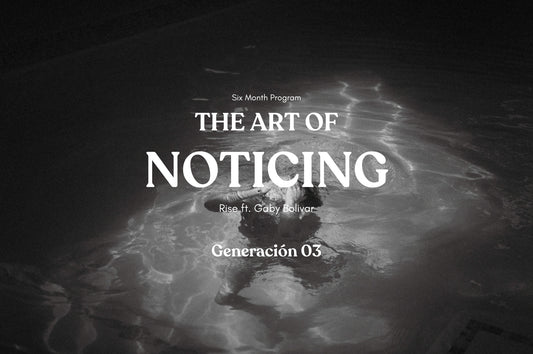 The Art of Noticing